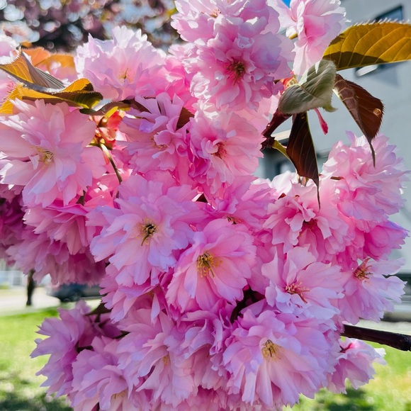 Meet your Posher, Rashmi - Picture 1 of 1